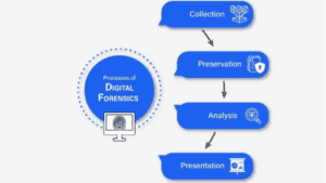 Digital Forensics Process