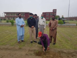 Inaugurating tree planation