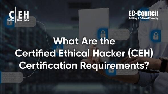 Certified Ethical Hacker (CEH) Guidelines